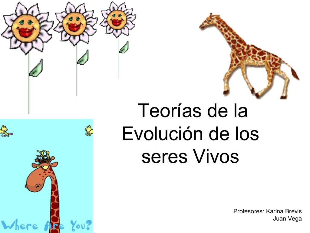 Descubre la Teoría de los Seres Vivos: La Clave para Entender la Vida_teoria_online Teoria de los seres vivos_teoria_online