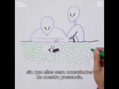 Descubre la Teoría de Fermi: ¿Estamos solos en el universo?_teoria_online Teoria de fermi_teoria_online