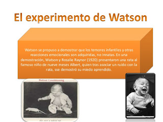 Teoria de la personalidad de watson