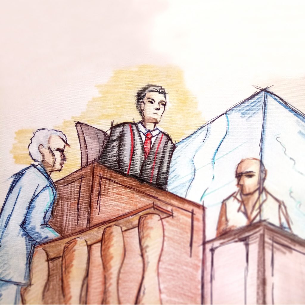 Teoria del caso y delitos en particular_teoria_online