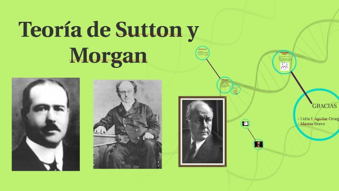 Descubre la Teoría de Sutton: Clave para el Éxito en tu Negocio_teoria_online Teoria de sutton_teoria_online