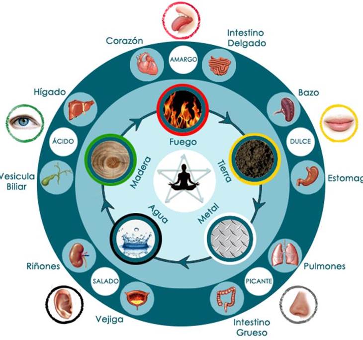 Teoria de la acupuntura_teoria_online