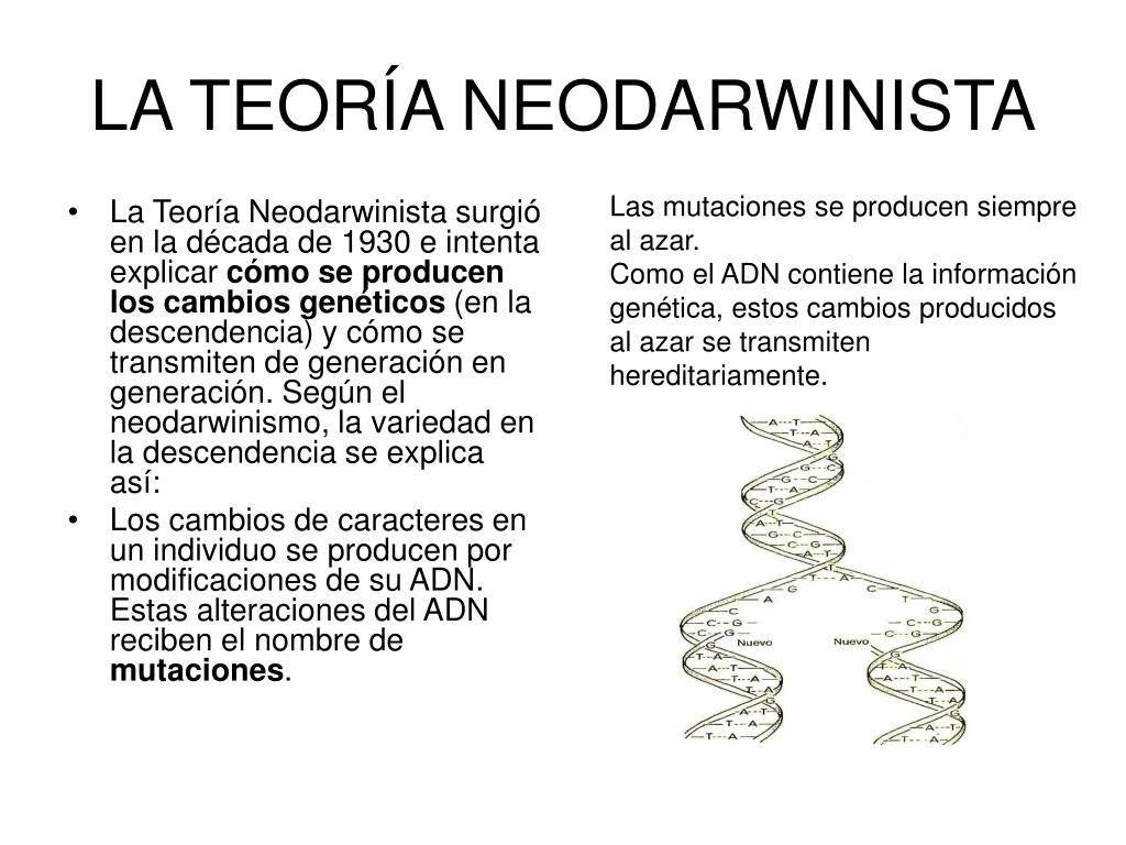Teoria neodarwinista
