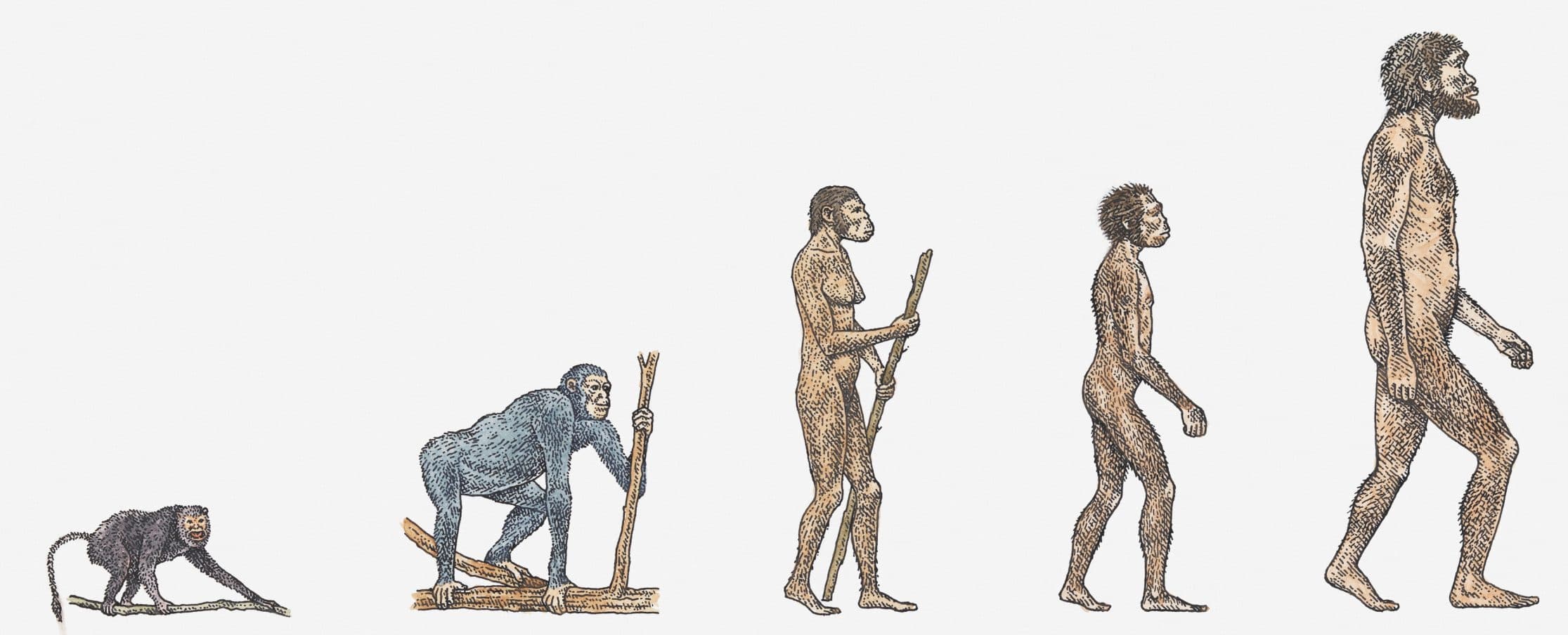 Teorías: ¿Sabes cuántos tipos existen? 15 Teorías: ¿Sabes cuántos tipos existen?