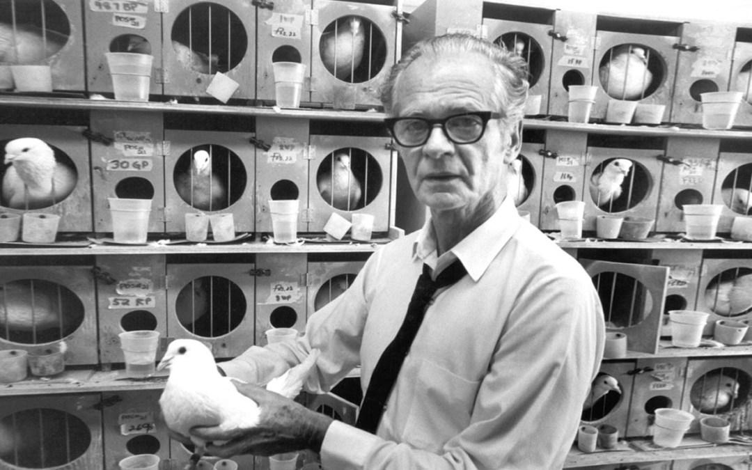 Teoria del conductismo skinner