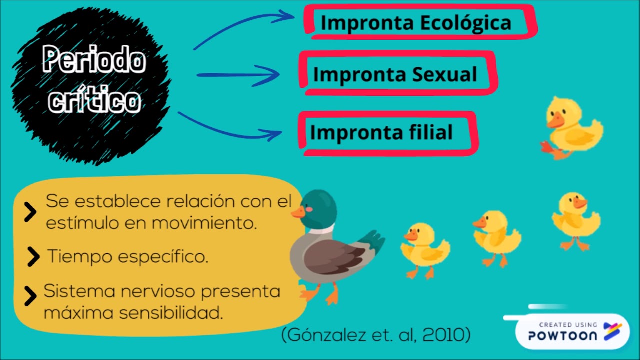 Teoria etologica_teoria_online