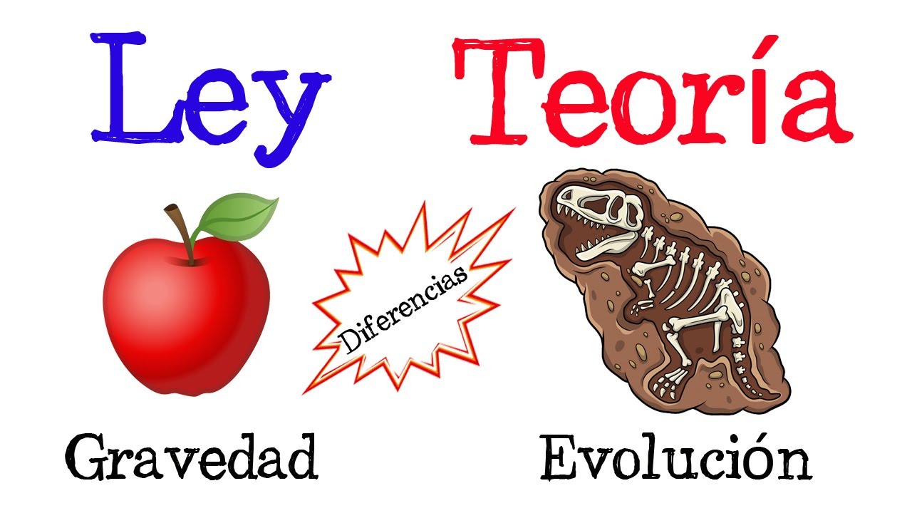 La relación entre ley y teoría científica: ¿Cómo se complementan?_teoria_online Ley y teoria cientifica_teoria_online