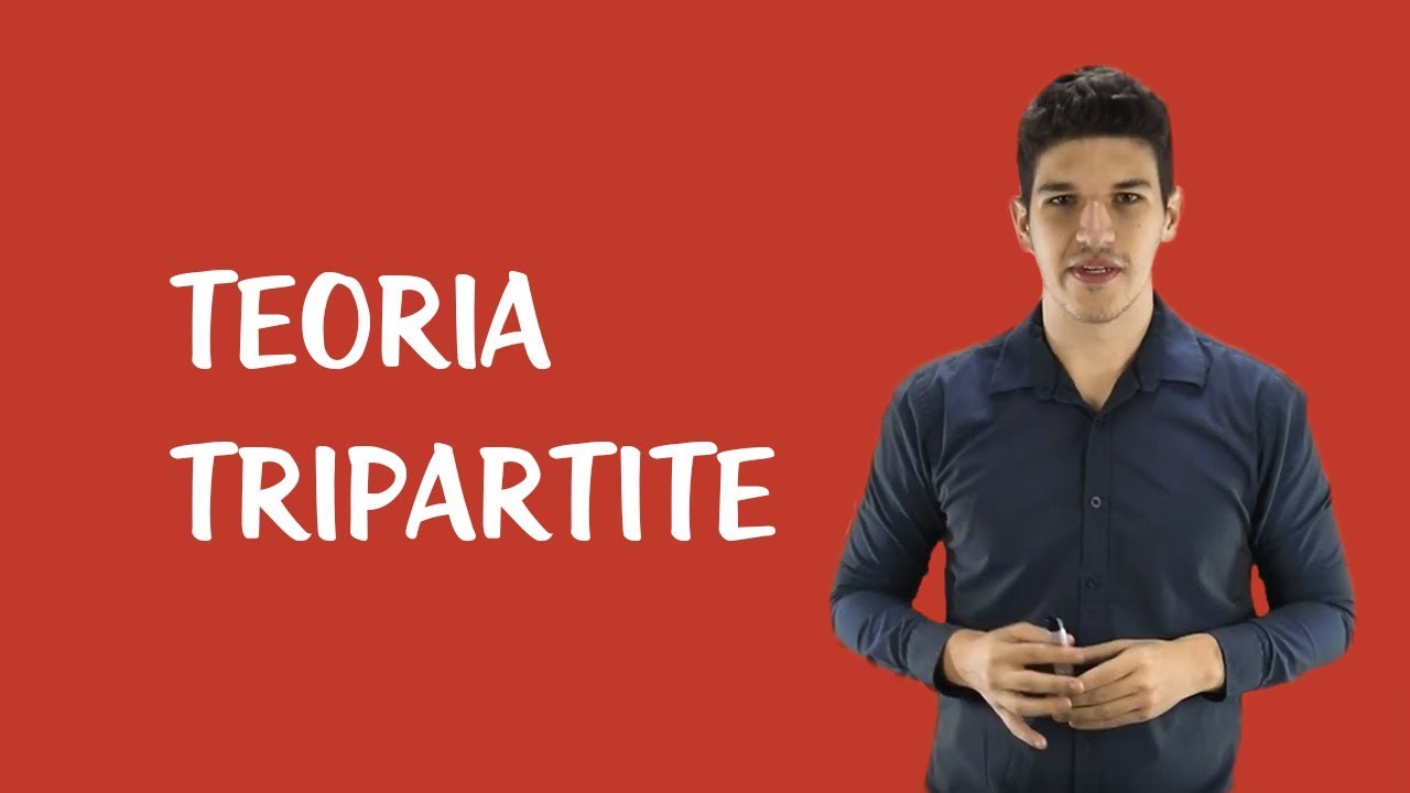 Teoria tripartita_teoria_online