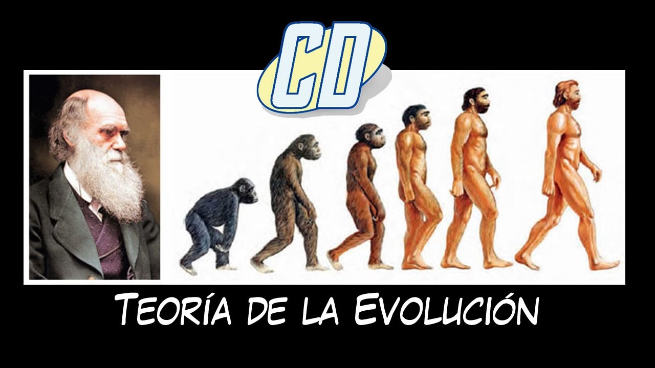 Teoria de la evolucion año