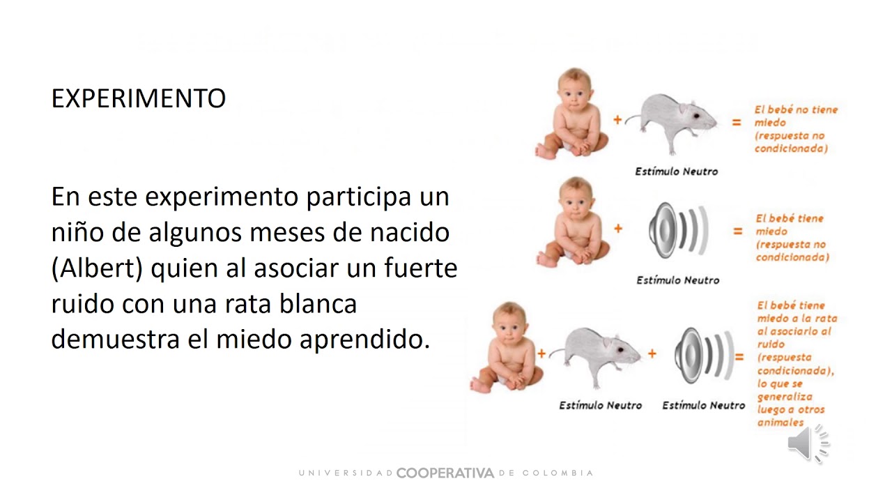 La Teoría del Desarrollo de Watson: Descubre cómo influye en el crecimiento personal_teoria_online Teoria del desarrollo de watson_teoria_online