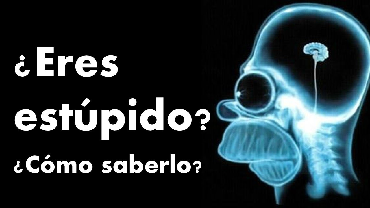 Descubre la verdad detrás de la teoría de la estupidez humana_teoria_online La teoria de la estupidez humana_teoria_online