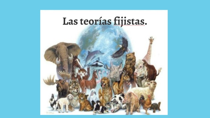 Teoria fijista caracteristicas