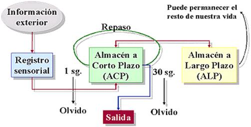 Descubre la Teoría de la Atención de Broadbent: Clave para Mejorar tu Enfoque Teoria de la atencion de broadbent