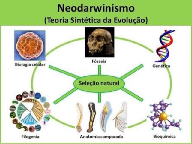 Neodarwinismo teoria_teoria_online