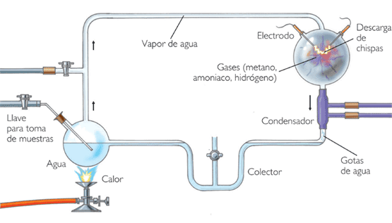 La teoría de Oparin y la formación de coacervados: un viaje al origen de la vida_teorias Como se formaron los coacervados segun la teoria de oparin_teorias
