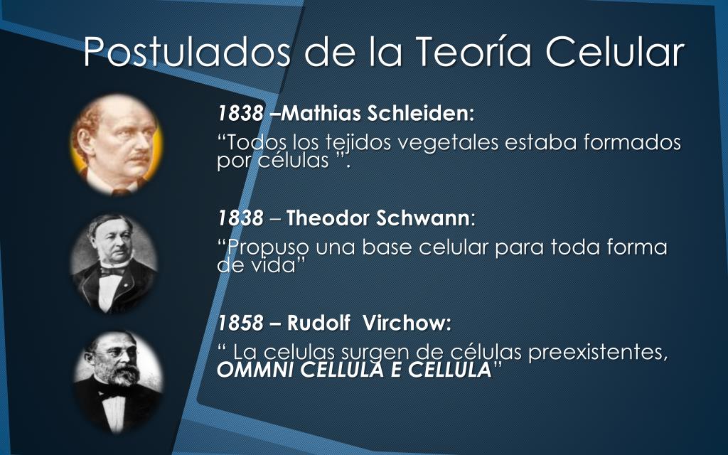 Quien propuso la teoria celular