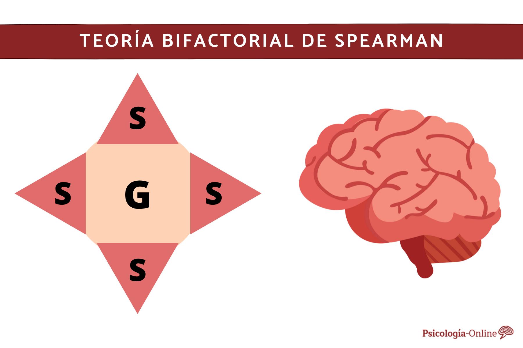 La teoría bifactorial de Charles Spearman: ¿Cómo explica la inteligencia humana?_teorias Charles spearman teoria bifactorial_teorias