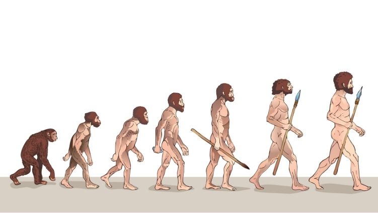 Teorías: ¿Sabes cuántos tipos existen?