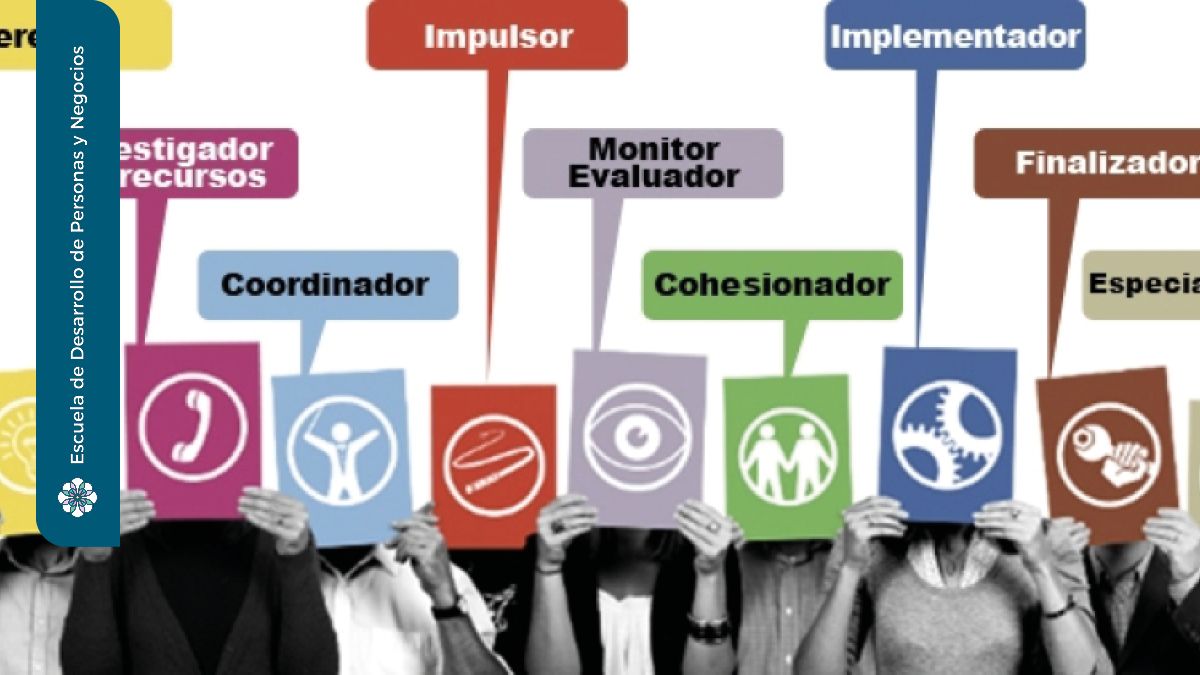 Descubre cómo aplicar la Teoría de Belbin en tu equipo de trabajo Teoria de belbin