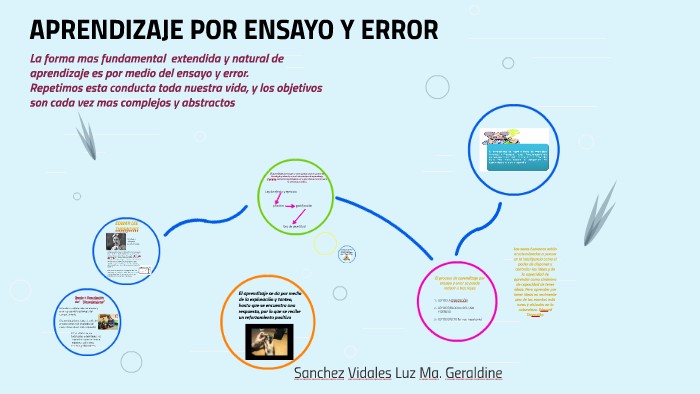 Teoria del ensayo y error