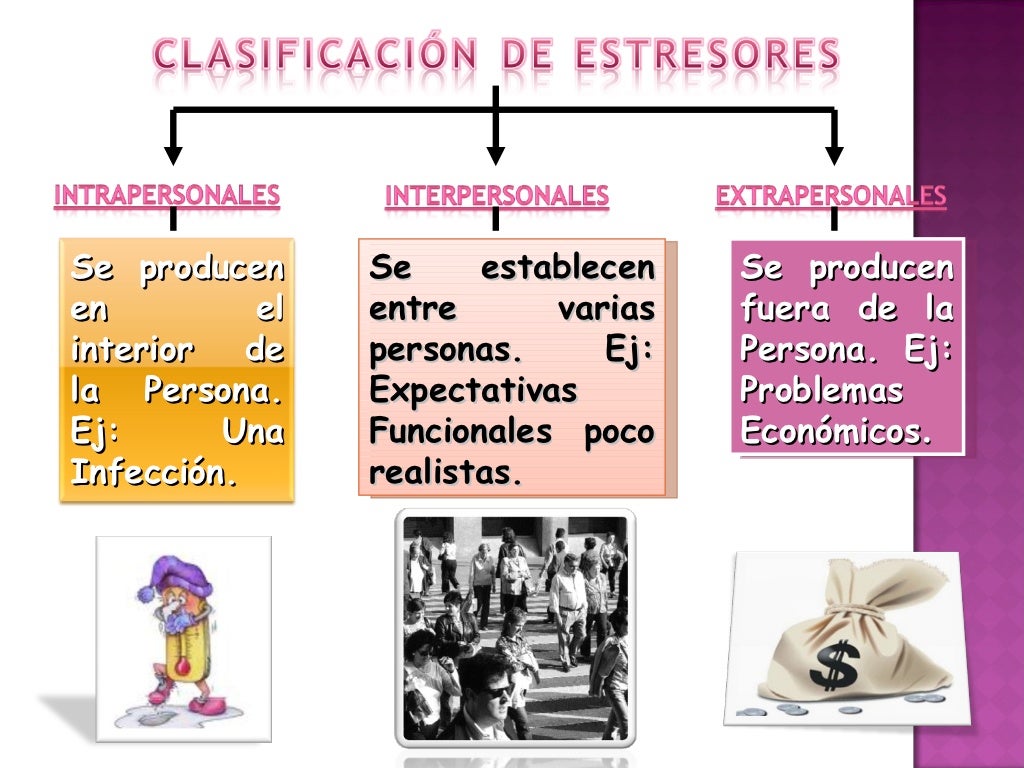Descubre la Teoría de Neuman: Una guía completa para entenderla Teoria de neuman