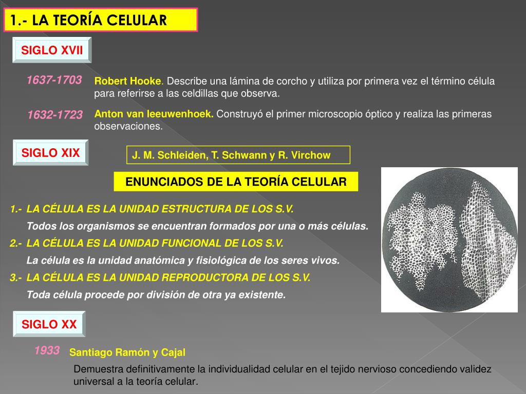 Enunciados de la teoria celular_teoria_online