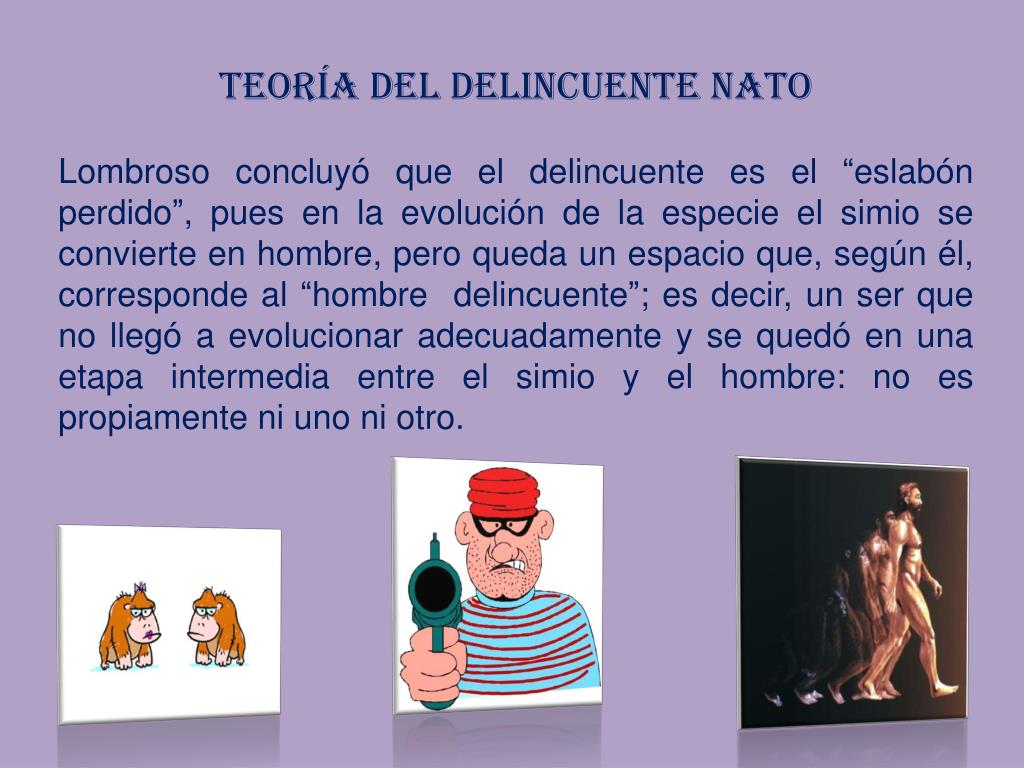 Teoria del delincuente