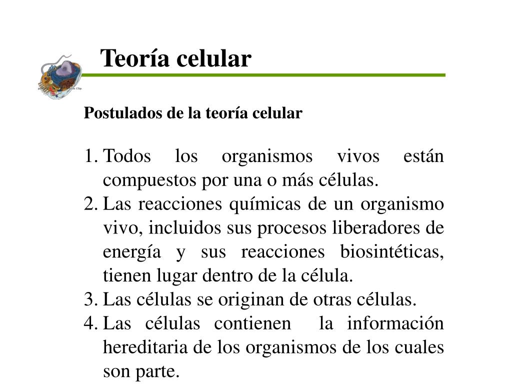Tercer postulado de la teoria celular_teoria_online