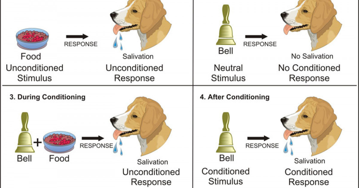 Teoria del condicionamiento clasico de ivan pavlov