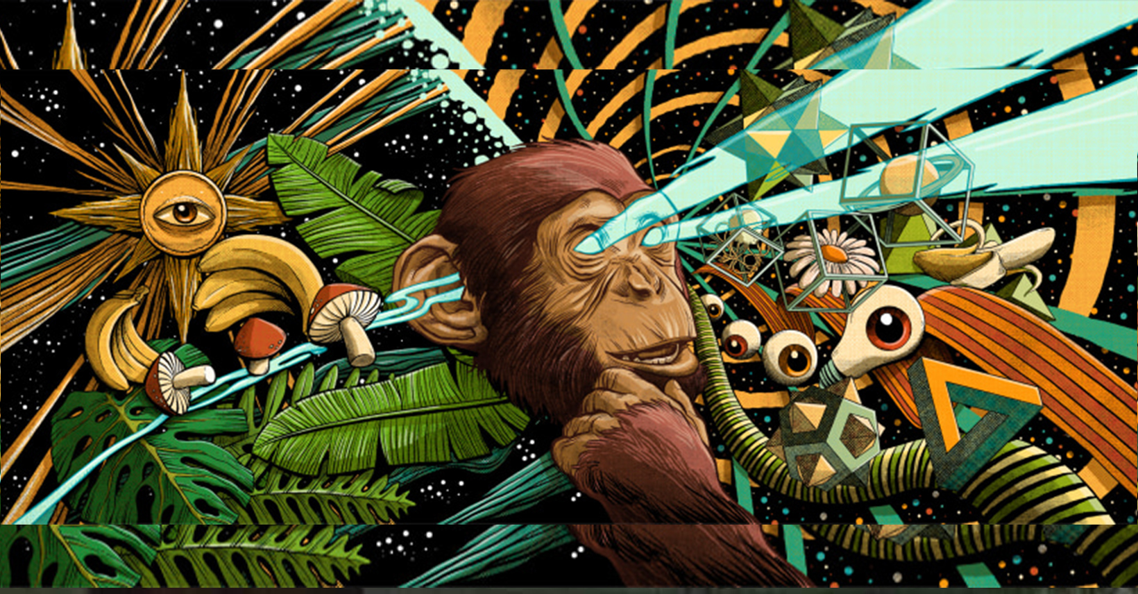 Teoria del mono dopado