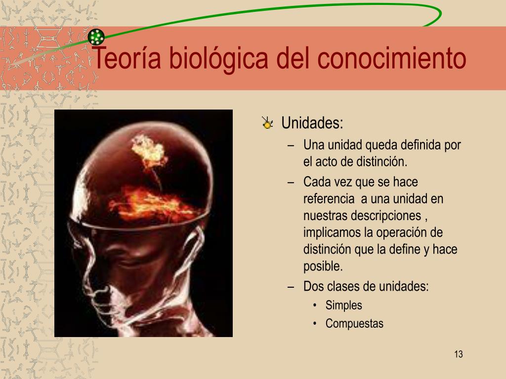 Teoria biologica_teoria_online