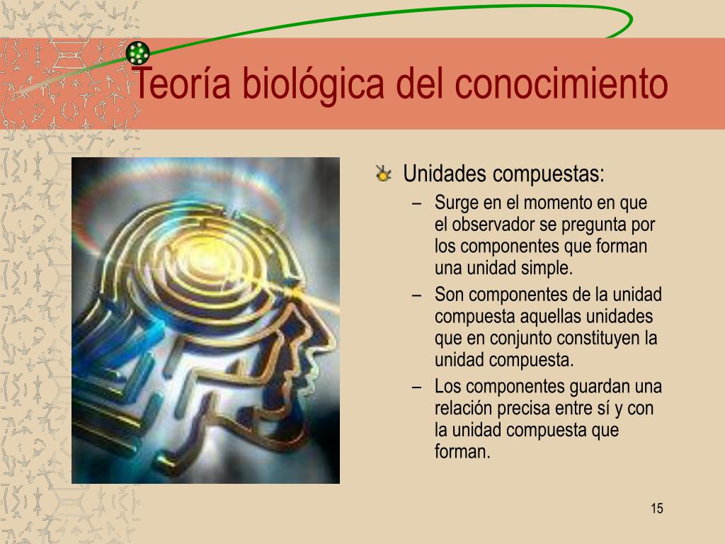 Teoria biologica