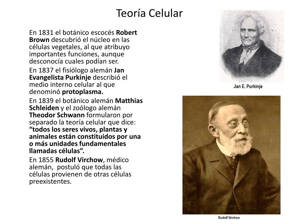 Teoría celular de Robert Brown: Descubre la base de la vida_teorias Robert brown teoria celular_teorias