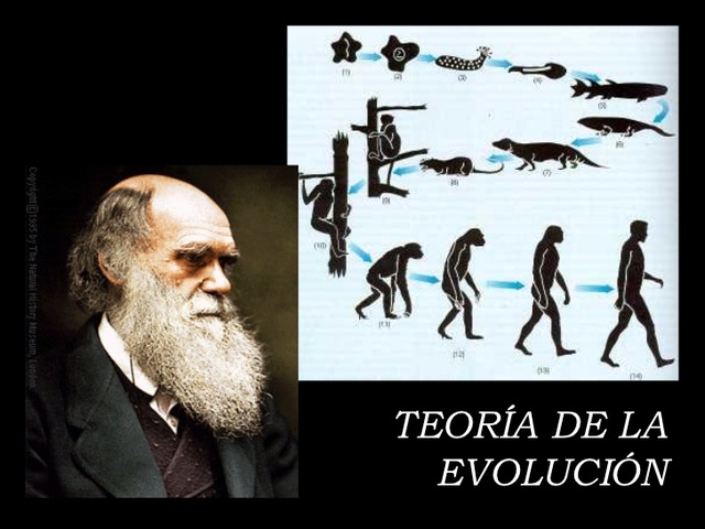 Quien es el creador de la teoria de la evolucion