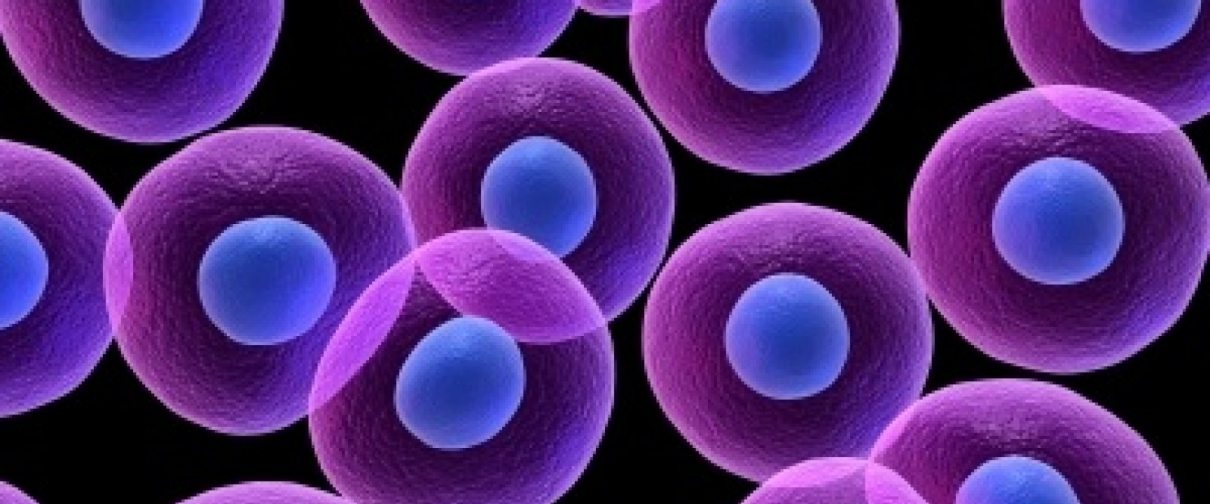 Teorías: ¿Sabes cuántos tipos existen? 14 Teorías: ¿Sabes cuántos tipos existen?