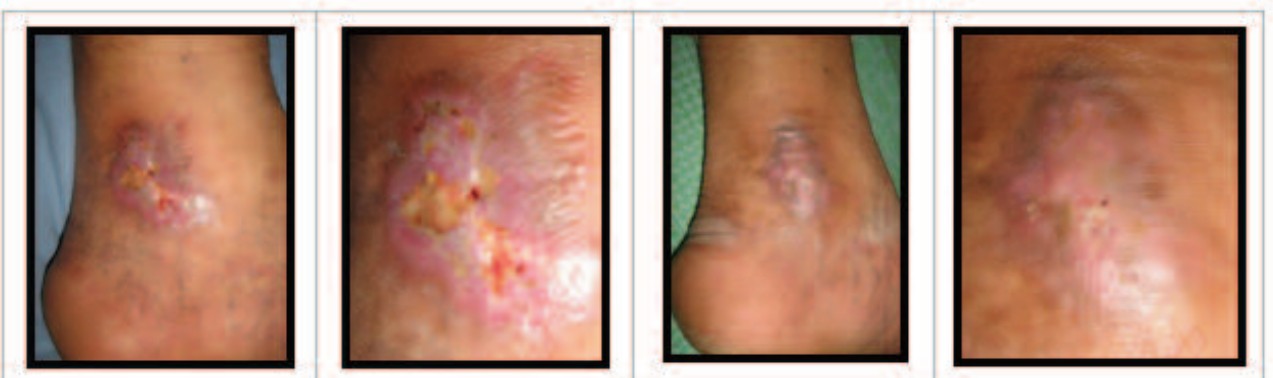 Teorías: ¿Sabes cuántos tipos existen? 1 Teorías: ¿Sabes cuántos tipos existen?