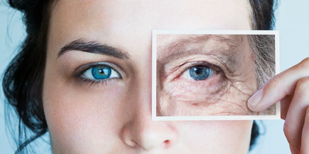 Teorías: ¿Sabes cuántos tipos existen?