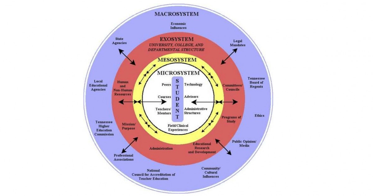 Teoria ecologica de bronfenbrenner