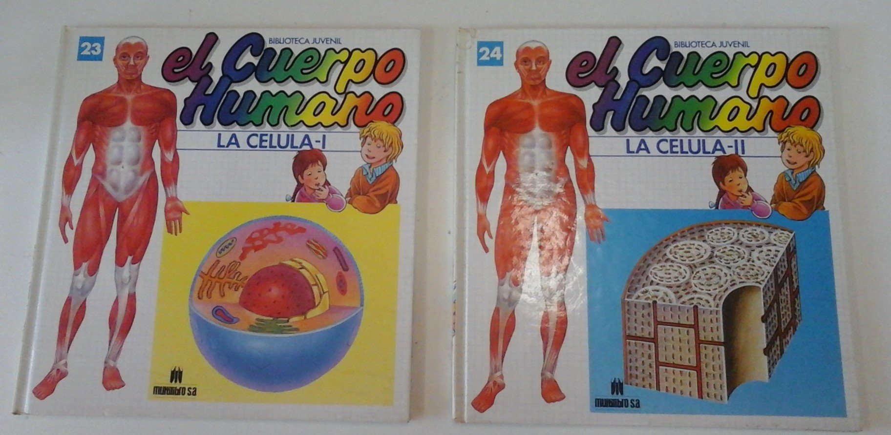 Teorías: ¿Sabes cuántos tipos existen? 14 Teorías: ¿Sabes cuántos tipos existen?