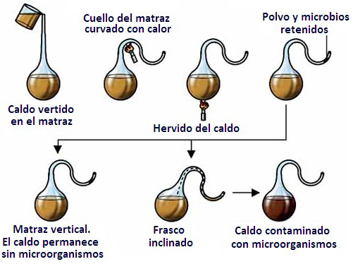 Teoria de la generacion espontanea luis pasteur_teoria_online