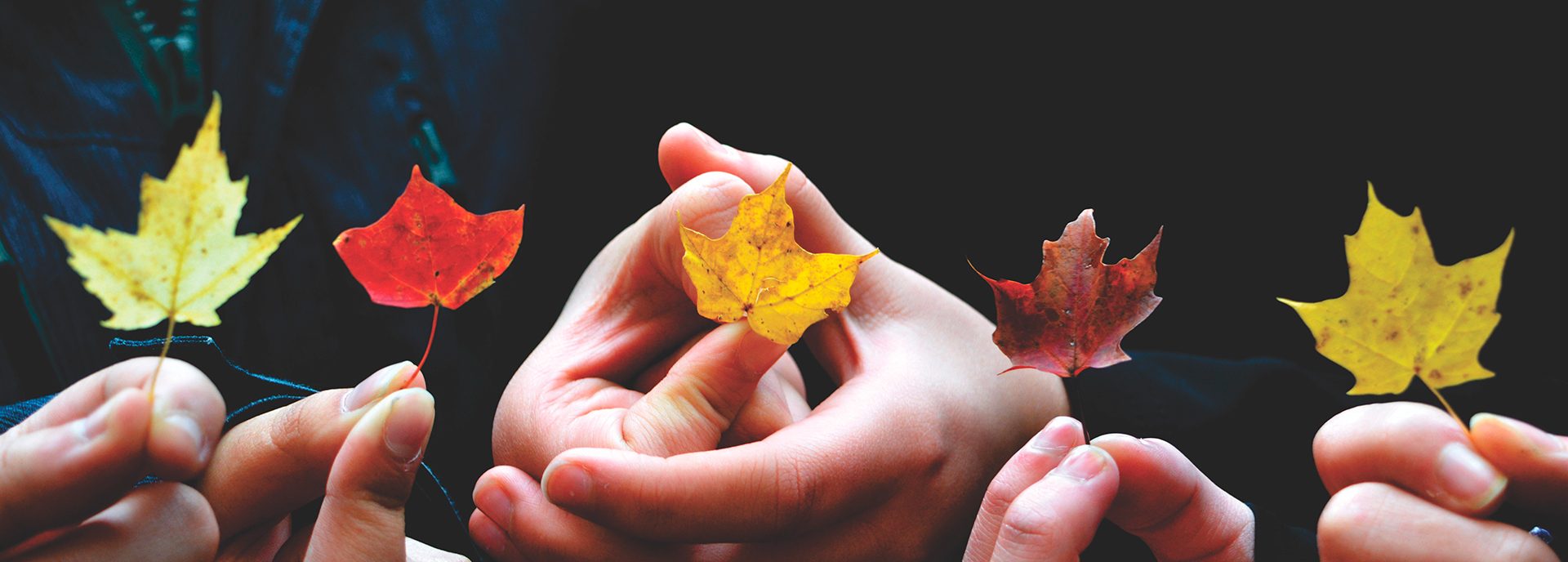 Teorías: ¿Sabes cuántos tipos existen? 3 Teorías: ¿Sabes cuántos tipos existen?