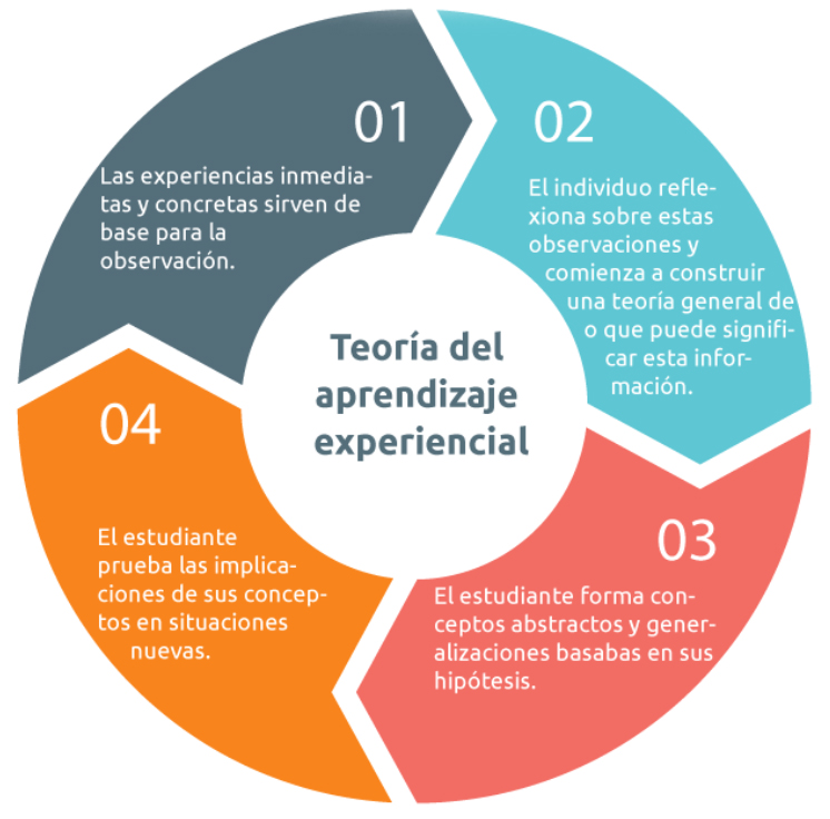 Descubre la Teoría del Aprendizaje de Kolb: Guía Completa Teoria del aprendizaje de kolb