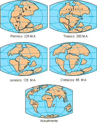 Teoria de alfred wegener deriva continental_teoria_online