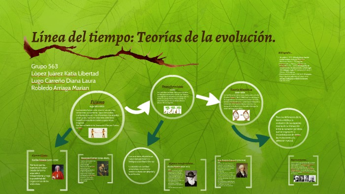 Teoria de la evolucion linea de tiempo_teorias